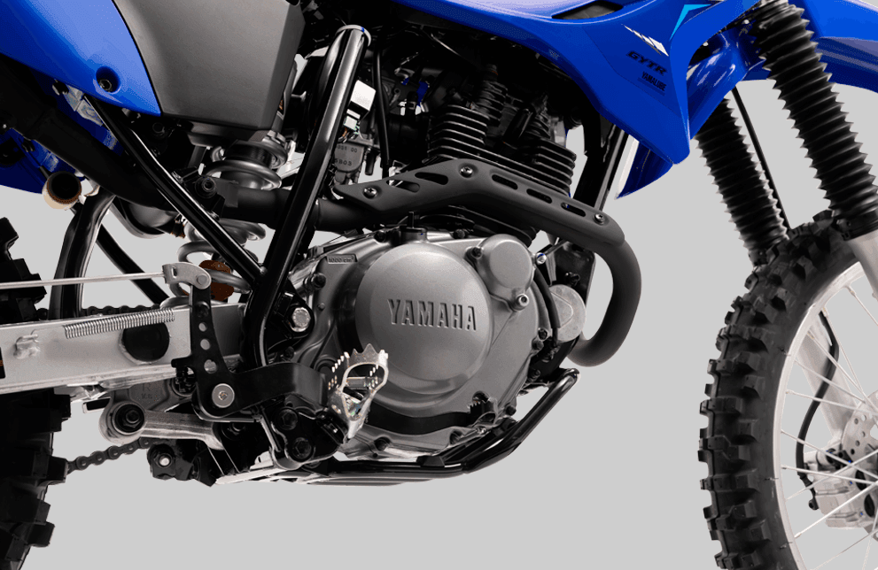 A DIVERSÃO NASCE AQUI