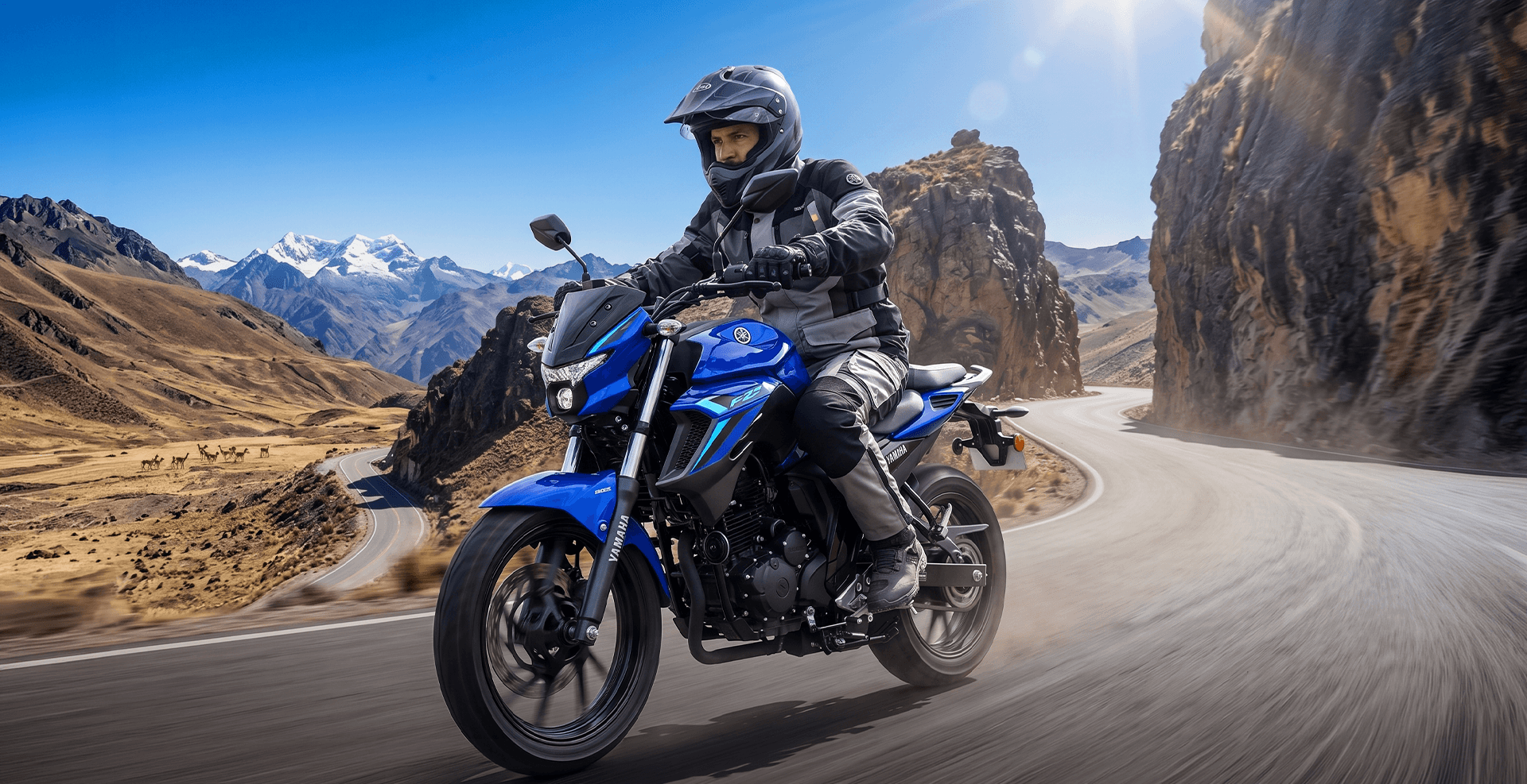 FZ25 ABS CONNECTED