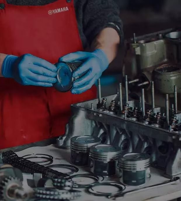 Programa tu Servicio